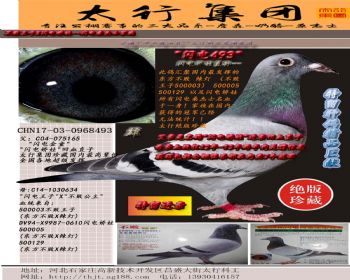 12-罿ֱŮ