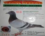 鿴ƷͼƬ