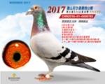 鿴ƷͼƬ