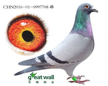 9.利奥x米卫.0997708