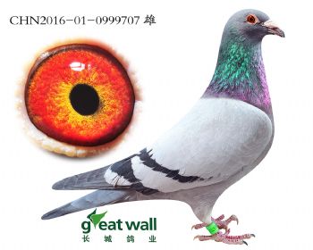 11.鲁道x考夫曼.0999707