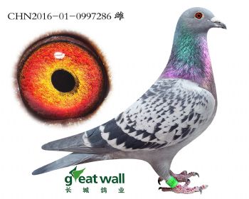 14.速霸龙x盖比.0997286