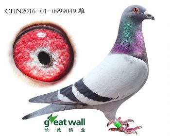 18.百万戈马力直子.0999049