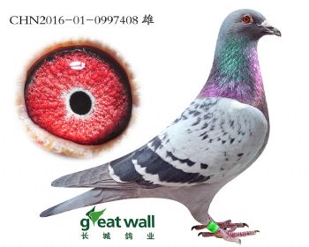 20.年轻超级克拉克近血孙.0997408