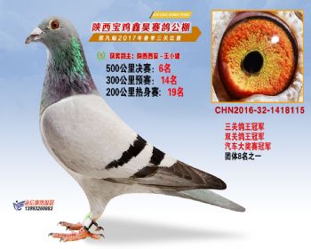 빫ظھ