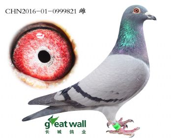9.魔帝佛x汉基98号.0999821
