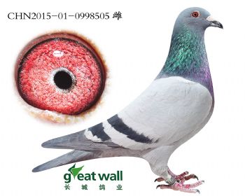 16.奥林匹克03孙代.0998505