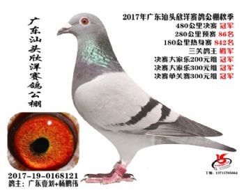 㶫ھ