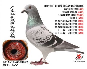 㶫6