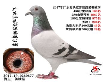 㶫103