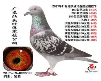 㶫104