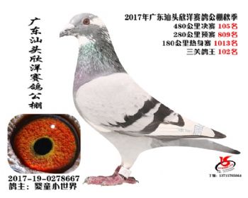 㶫105