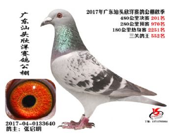 㶫201