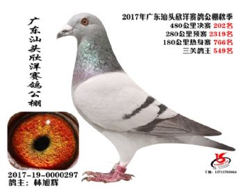 㶫202