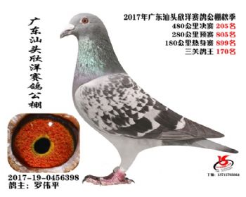 㶫205