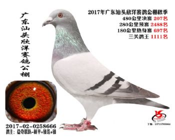 㶫207