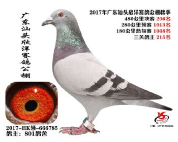 㶫206