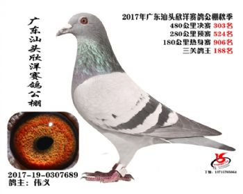 㶫303