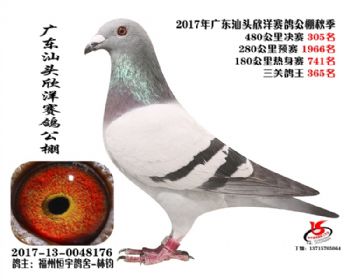㶫305