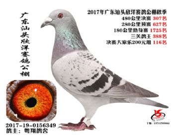 㶫307
