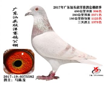 㶫306