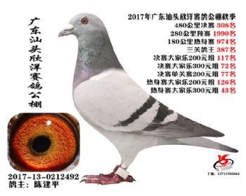 㶫308