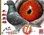鿴ƷͼƬ