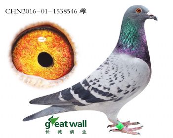 2.长城一号x长城二号.1538546