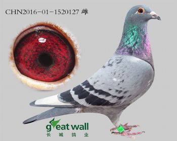 19.零缺陷孙代.1520127