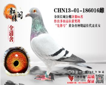 WHZBھֱŮ 186016