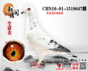 С1518647
