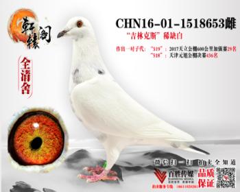 С 1518653