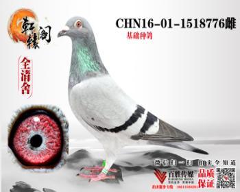 ū13 1518776