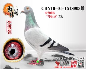 828ֱŮ1518903