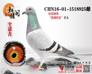 С 1518925