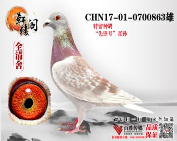 WHZBھ0700863