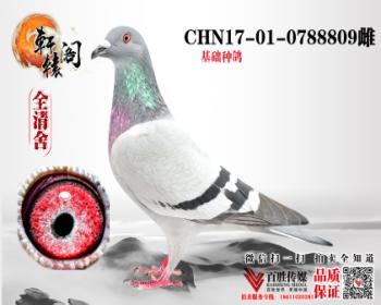 ͺͷ 0788809