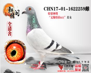 ζֱŮ1622259