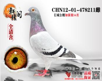 ǹ478211