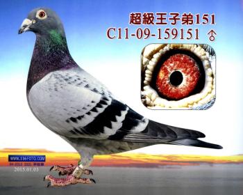 超级王子弟151