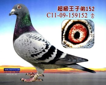 超级王子弟152