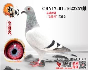 WHZBھֱŮ 1622257