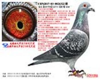 Ǳȡ硿ֱӡˡֱŮ