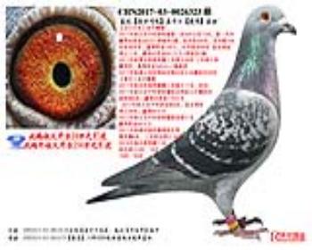 Ǳȡ硿ֱӡˡֱŮ