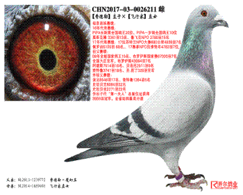 ѵաֱӡмҡֱŮ