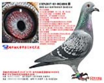 483ֱͼ27856ھĪֱŮ