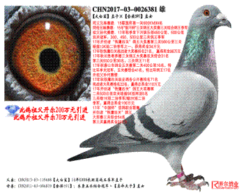 衿ֱӡ591ֱŮ
