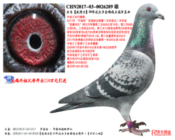 ԡҹʿ09겨ȫھֱŮ