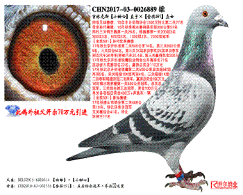 ֿ˹Сġֱӡ591ֱŮ