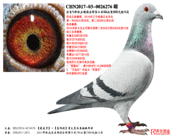 2015ֲڶ5065000Ԫ10